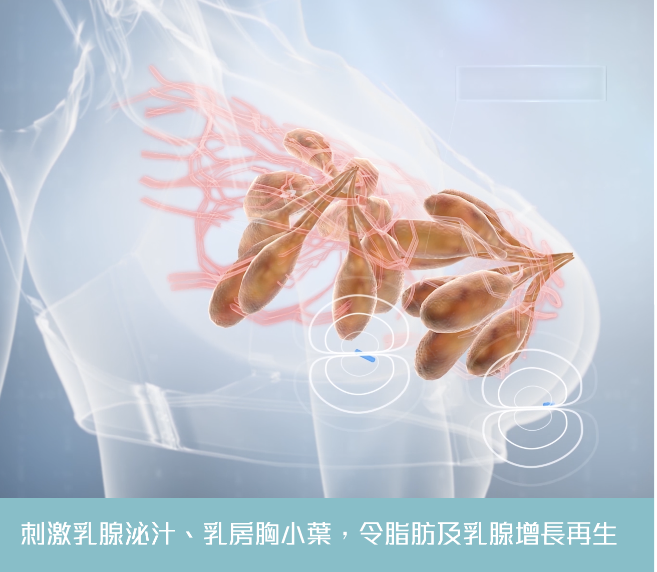 共用圖片/檔案 - 刺激乳腺泌汁1